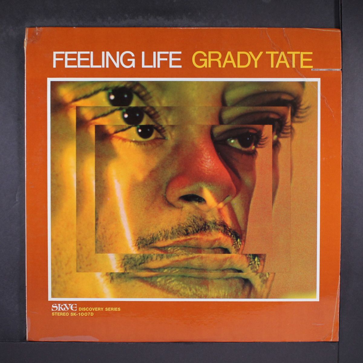 feeling life by GRADY TATE