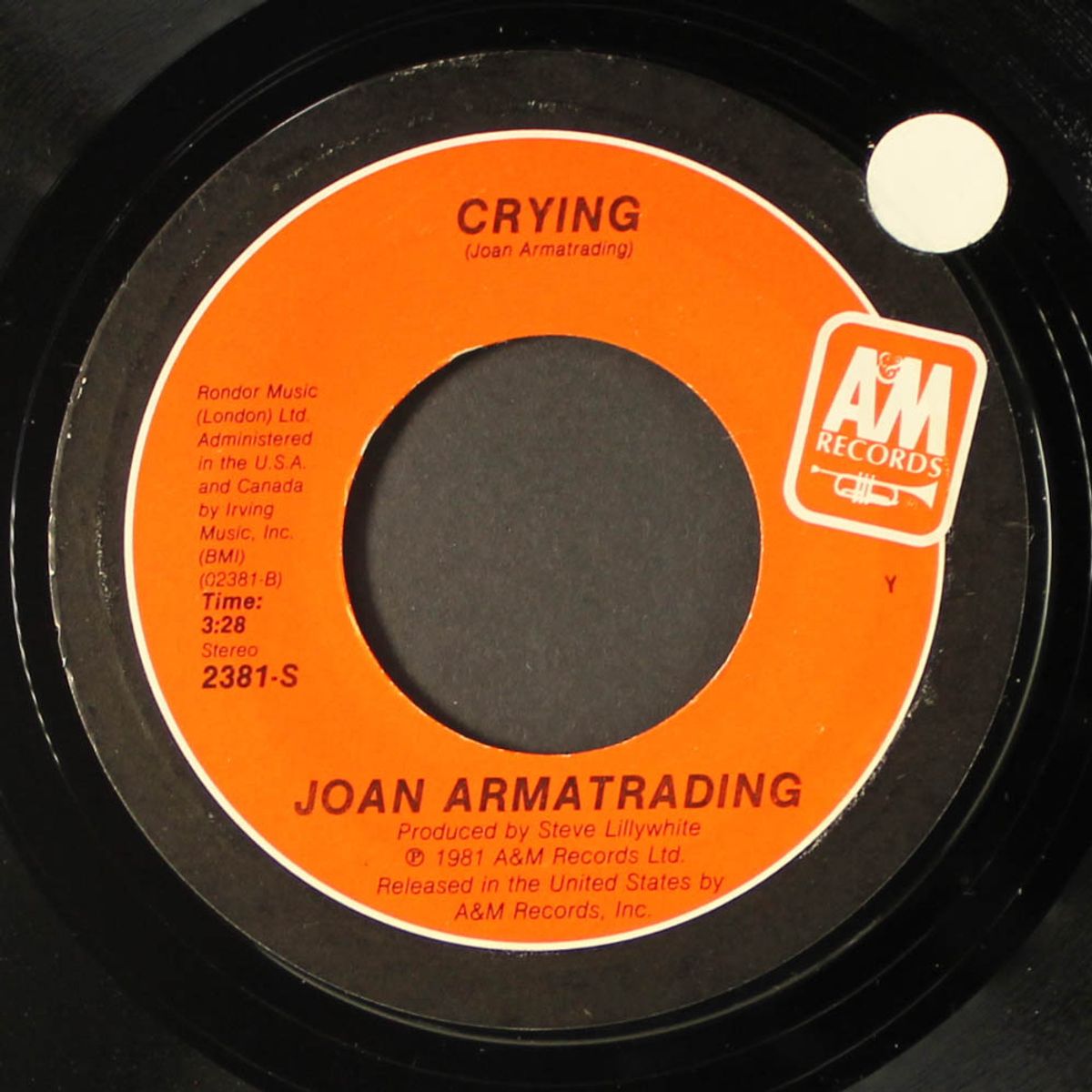 the weakness in me / crying by JOAN ARMATRADING