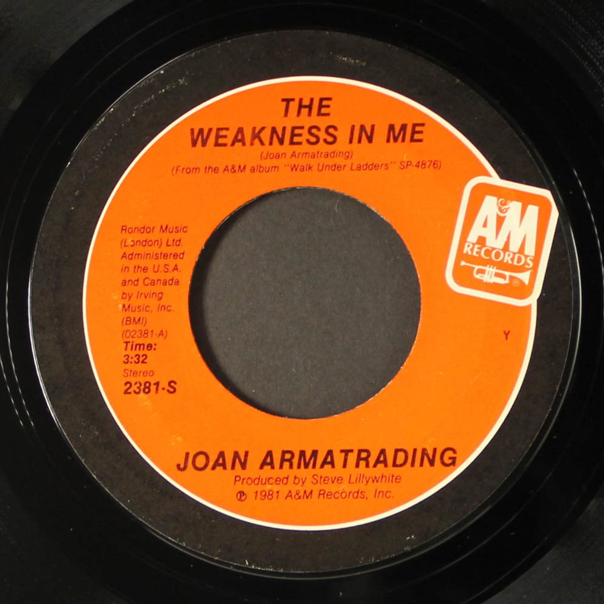 the weakness in me / crying by JOAN ARMATRADING