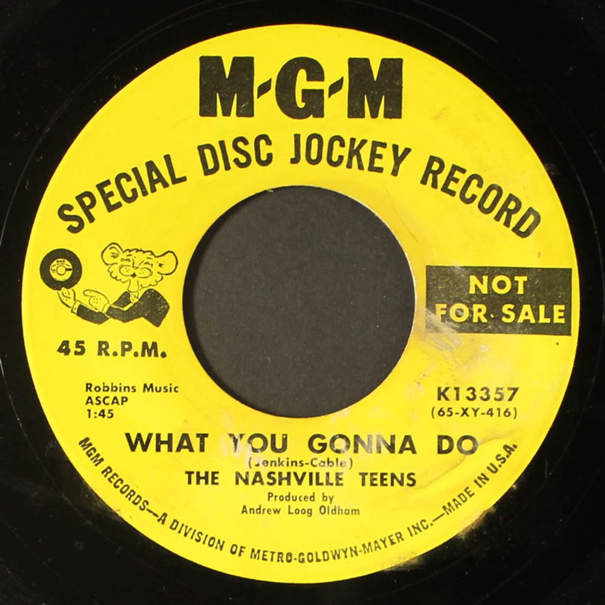 the little bird / what you gonna do by NASHVILLE TEENS
