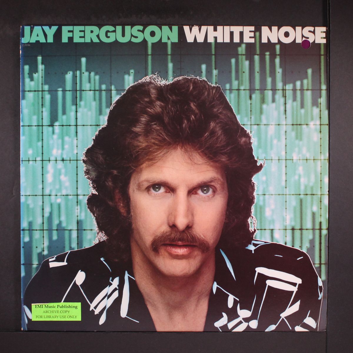 white noise by JAY FERGUSON