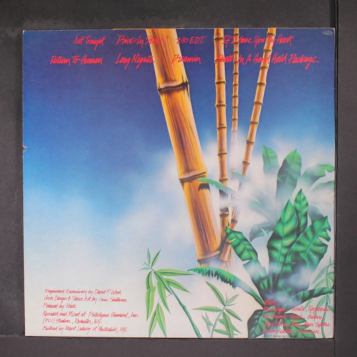 new bamboo by VOICES