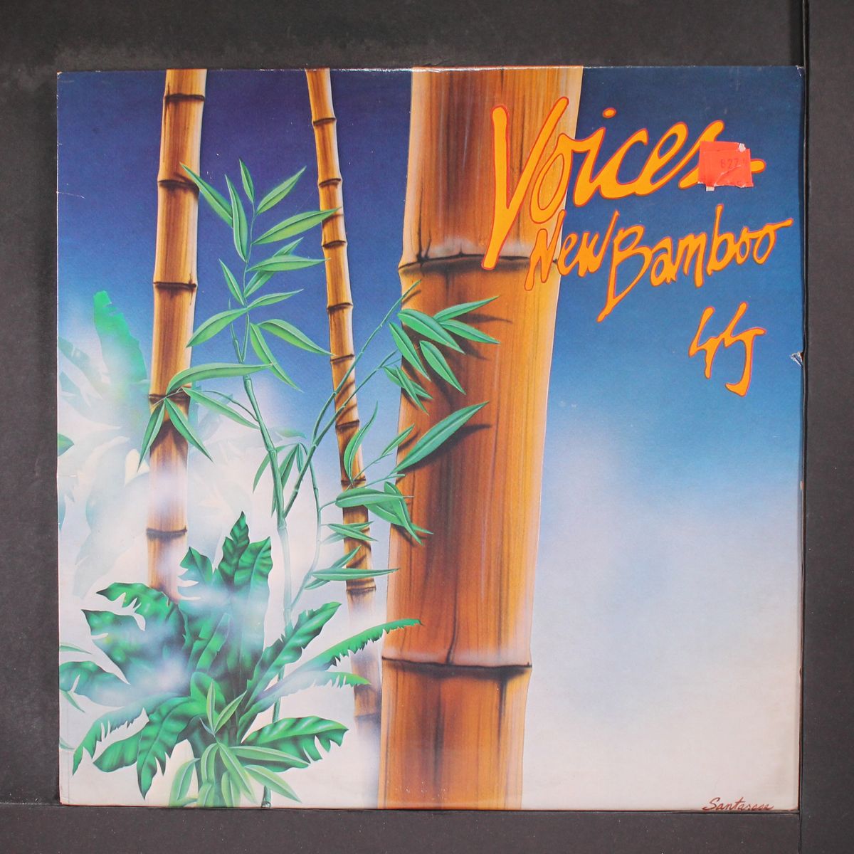 new bamboo by VOICES