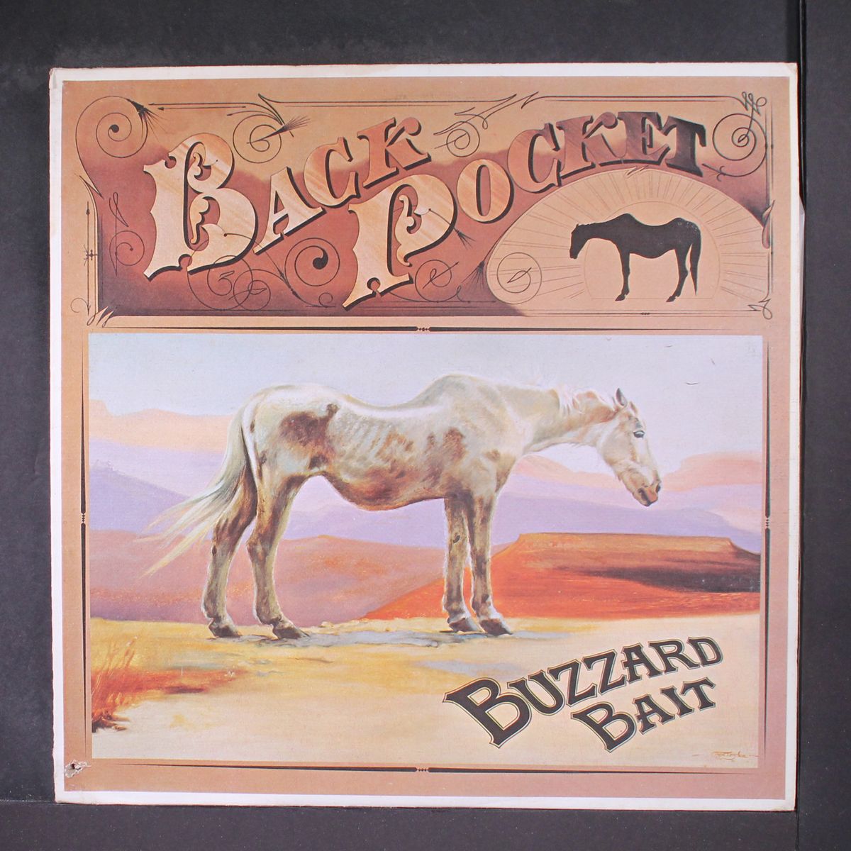 buzzard bait by BACK POCKET