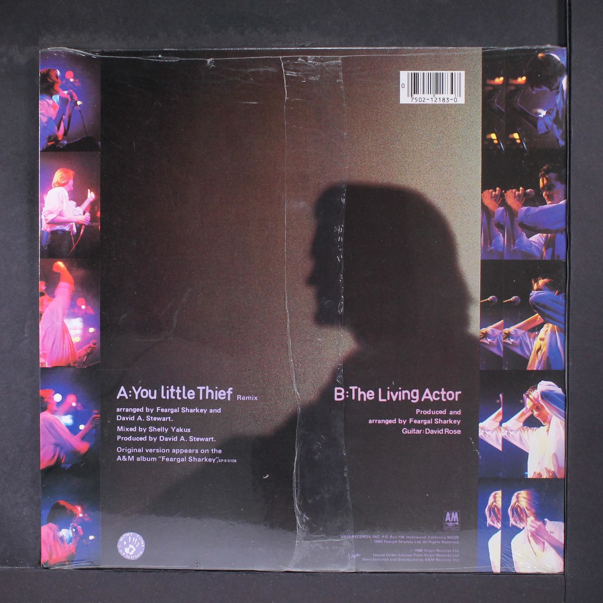 you little thief (remix) / the living actor by FEARGAL SHARKEY