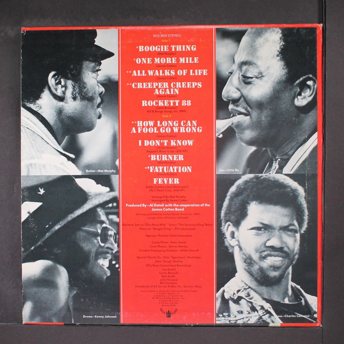 100% cotton by JAMES COTTON BAND