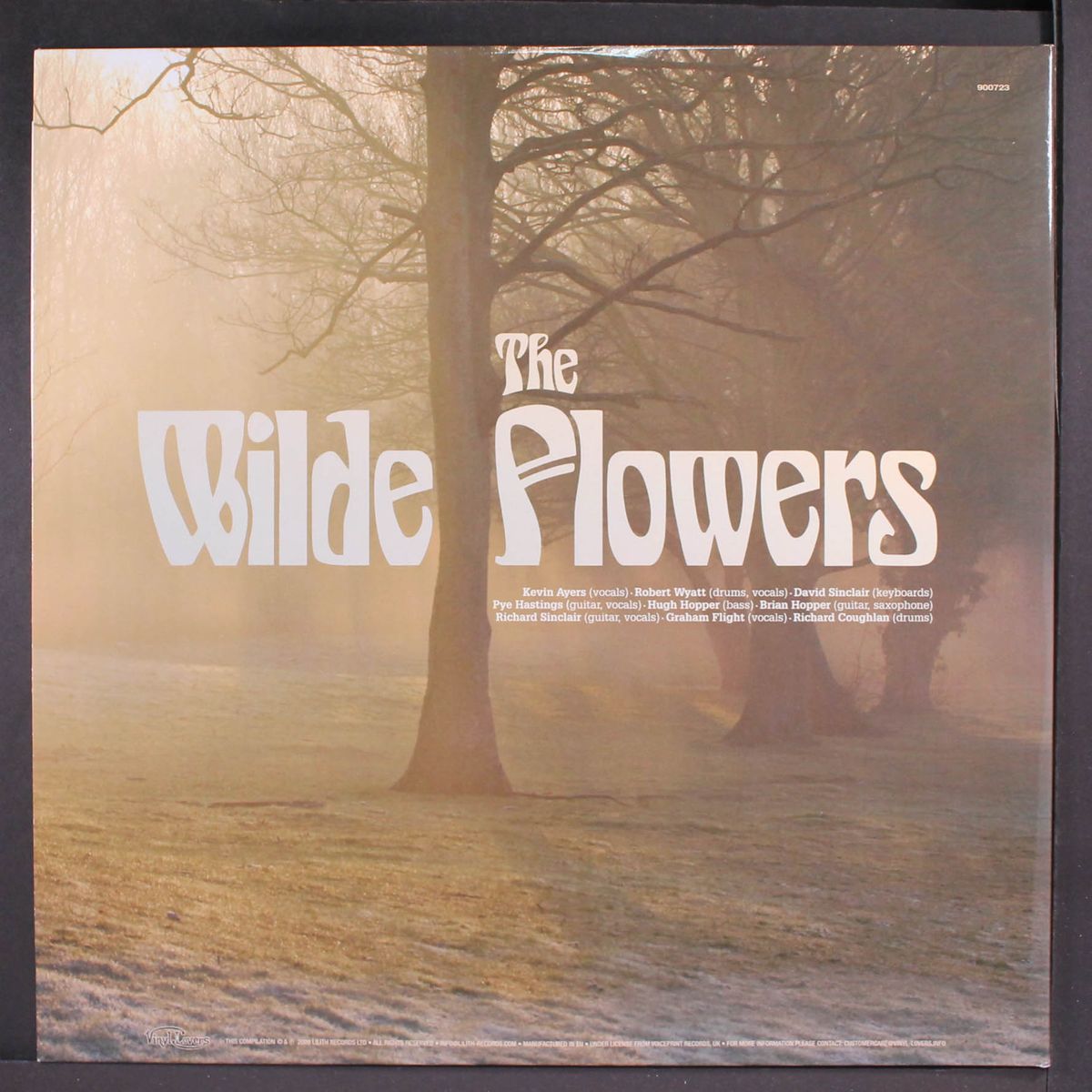 the wilde flowers by WILDE FLOWERS