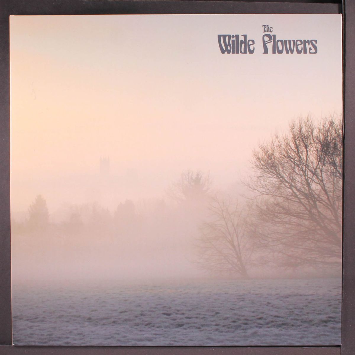 the wilde flowers by WILDE FLOWERS