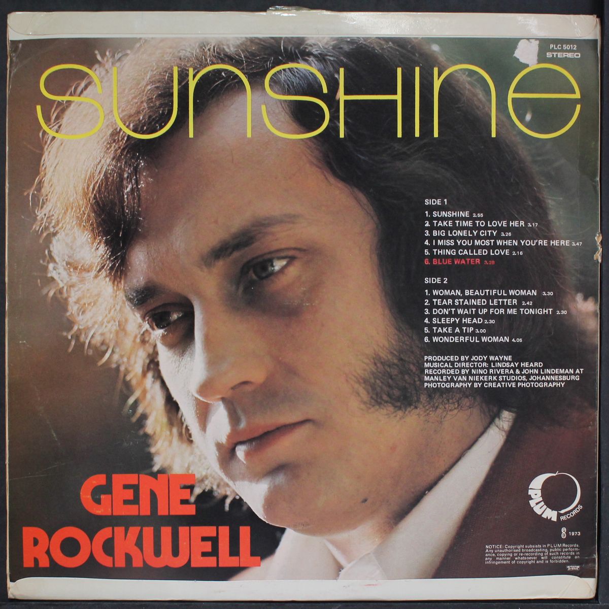 sunshine by GENE ROCKWELL