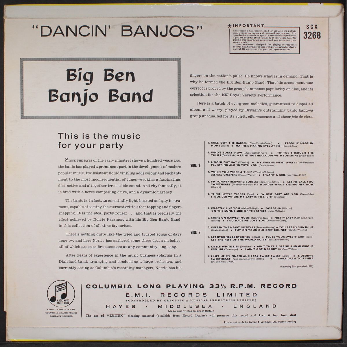 dancin' banjos by BIG BEN BANJO BAND