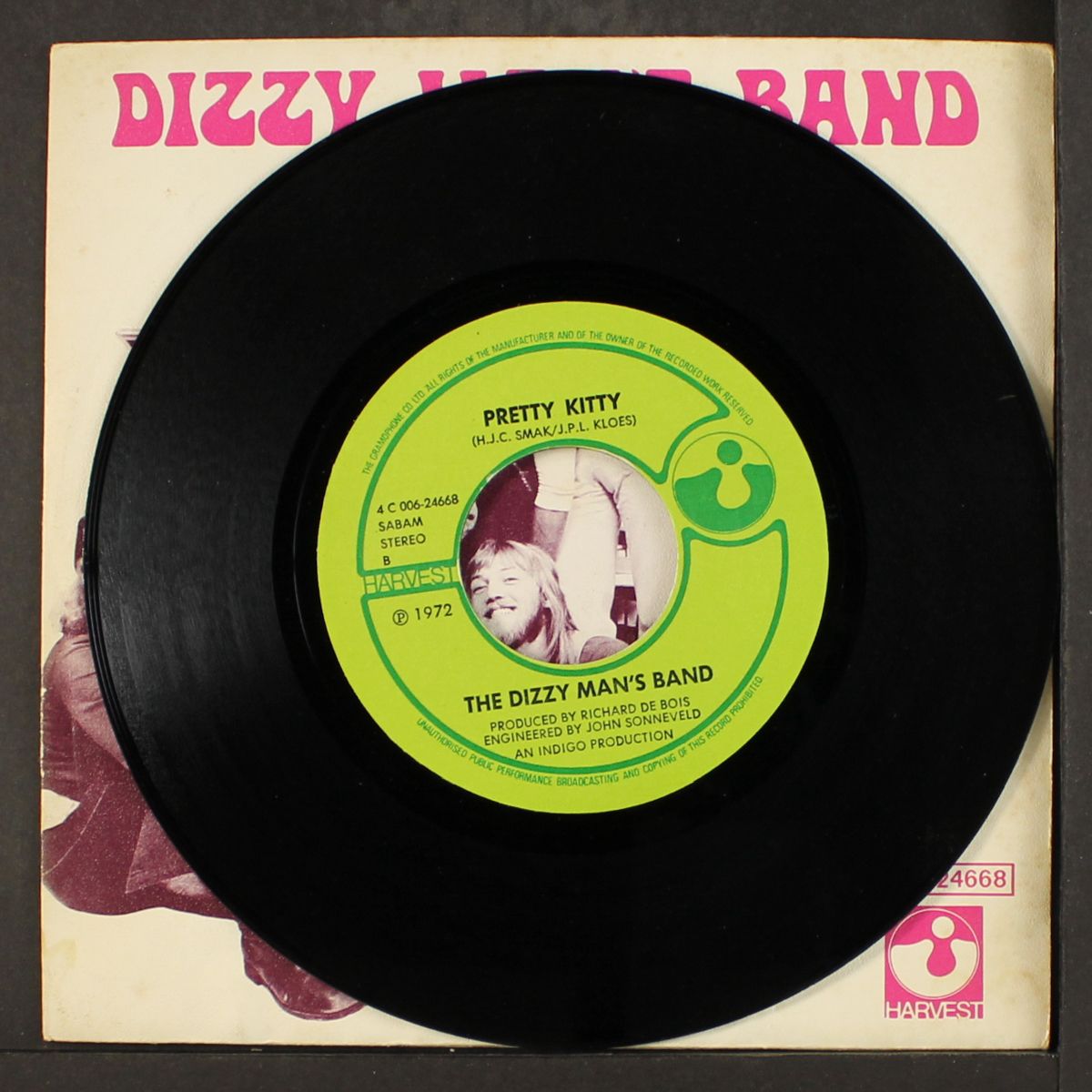 shocking / pretty kitty by DIZZY MAN'S BAND