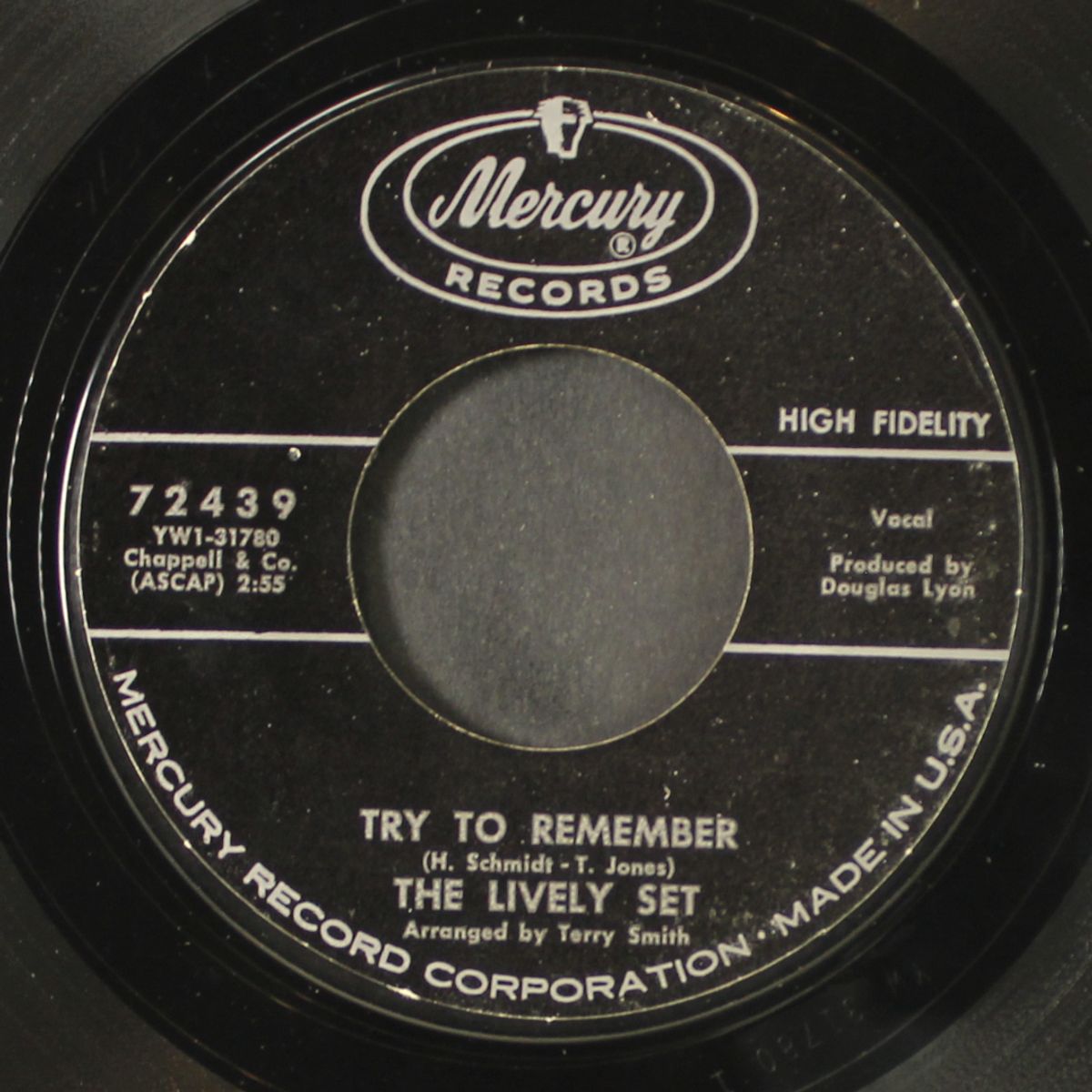 dippity-do / try to remember by LIVELY SET