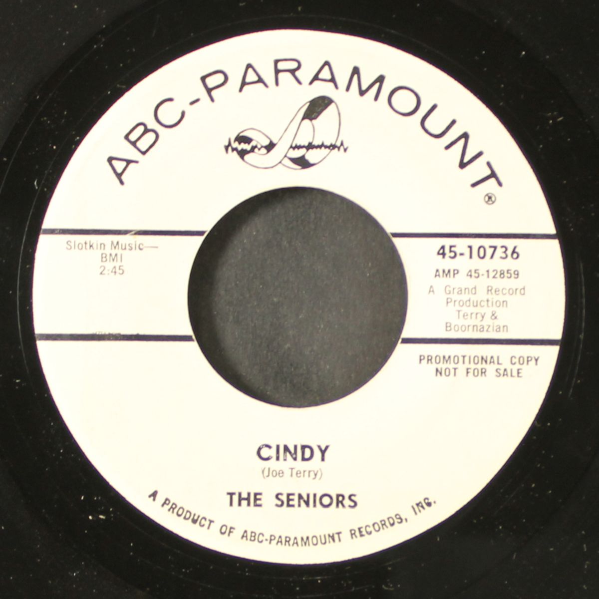 no surfin' 'round here / cindy by SENIORS