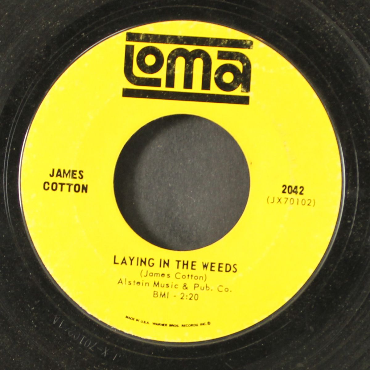 complete this order / laying in the weeds by JAMES COTTON