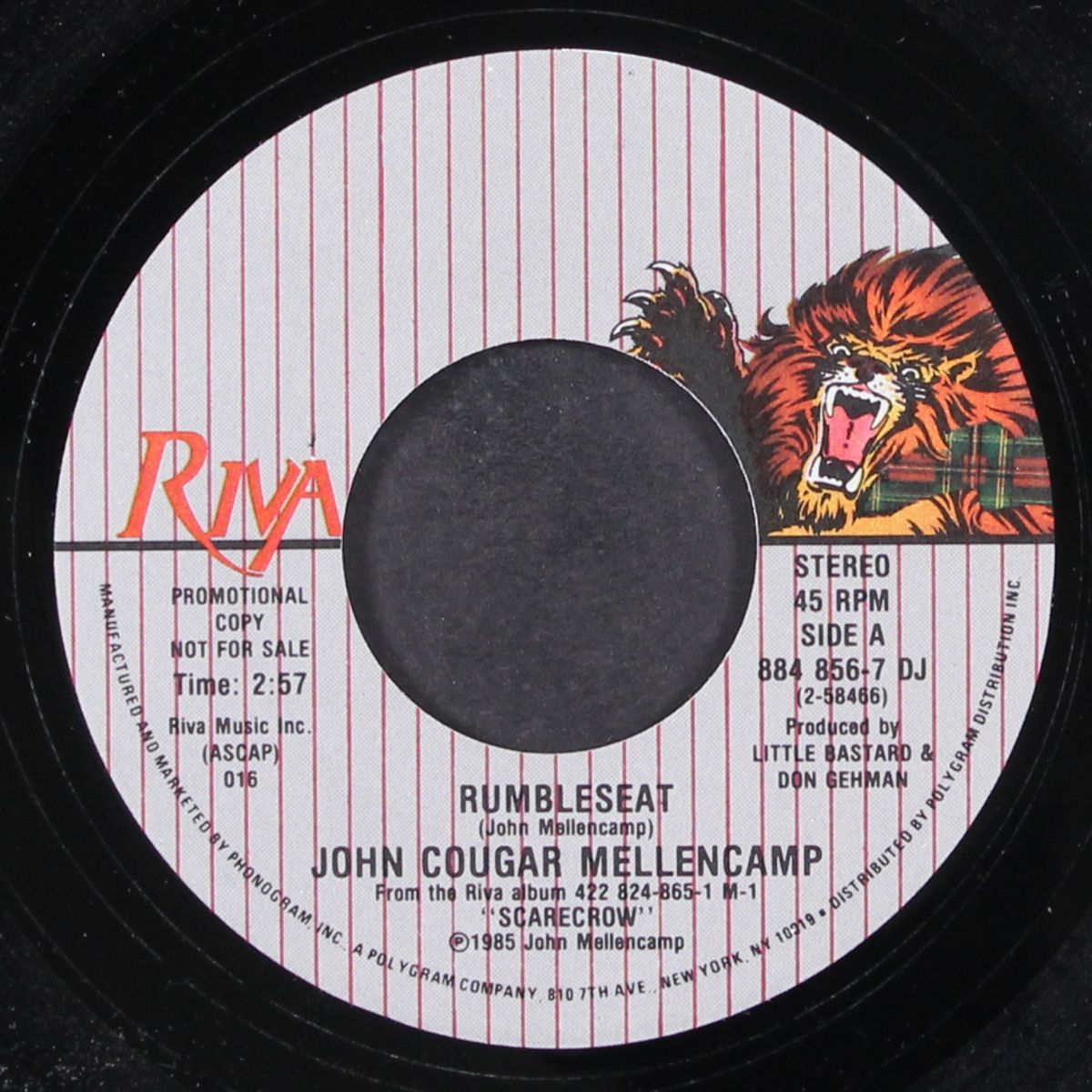 rumbleseat by JOHN COUGAR MELLENCAMP