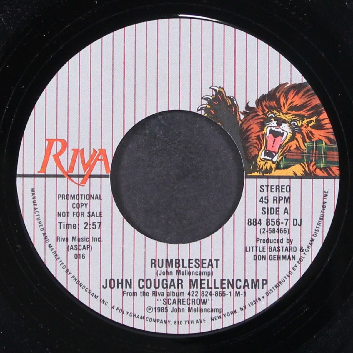 rumbleseat by JOHN COUGAR MELLENCAMP