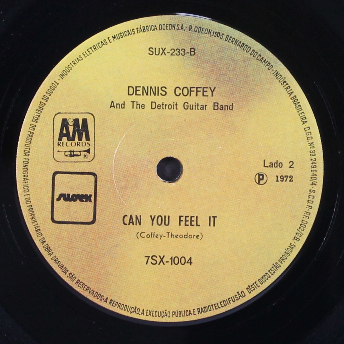 taurus / can you feel it by DENNIS COFFEY