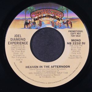 JOEL DIAMOND EXPERIENCE