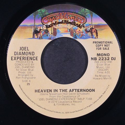 JOEL DIAMOND EXPERIENCE