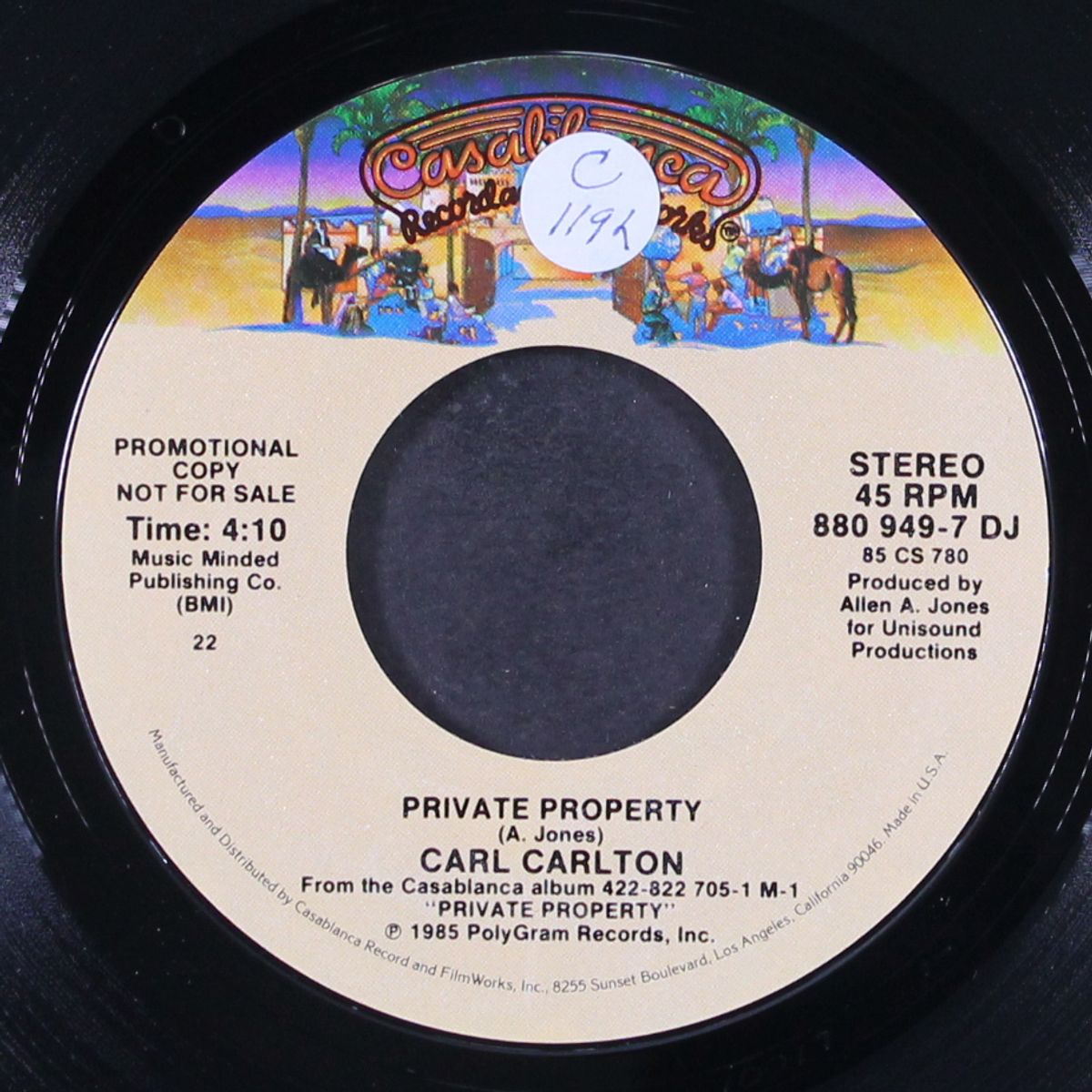 private property / same by CARL CARLTON