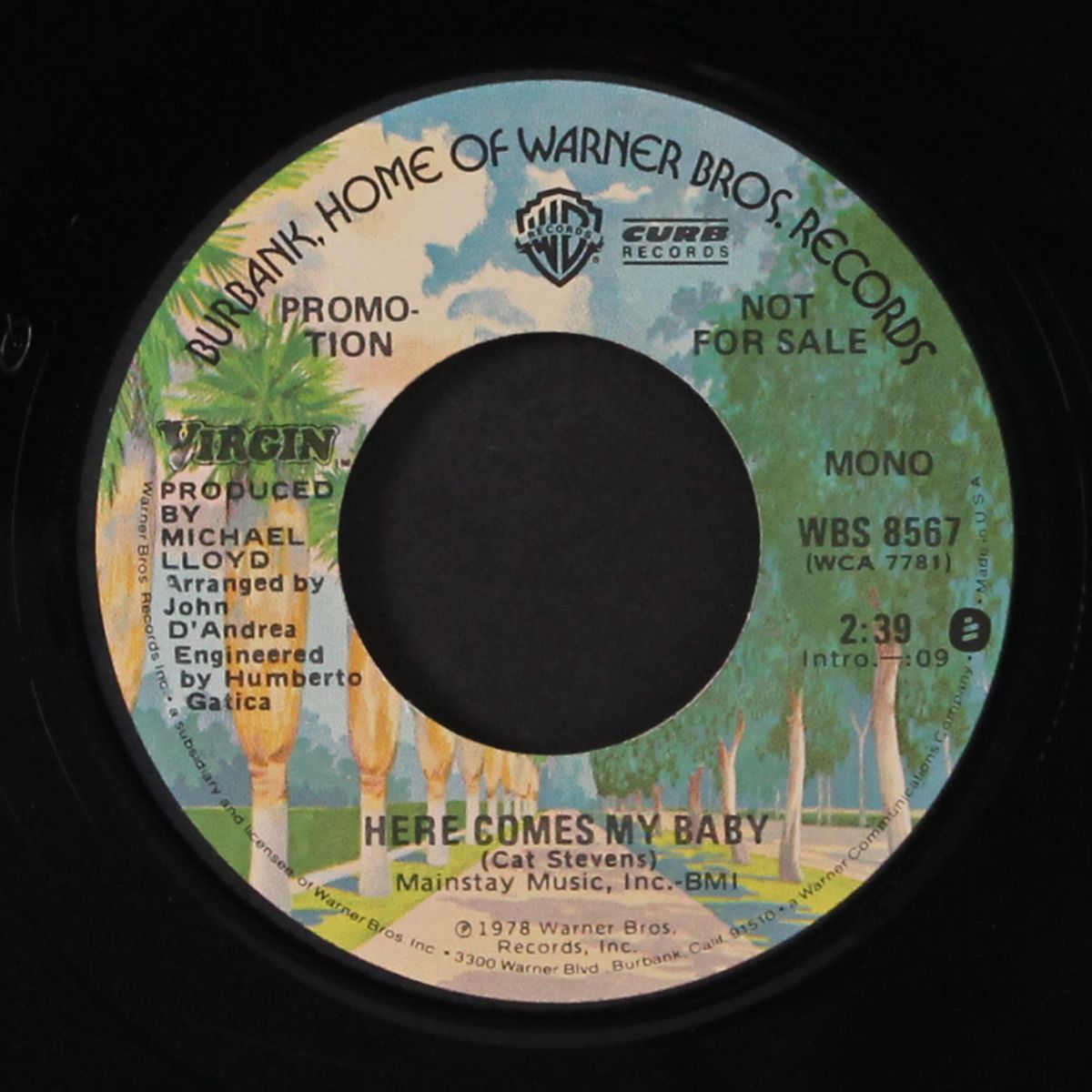 here comes my baby by VIRGIN