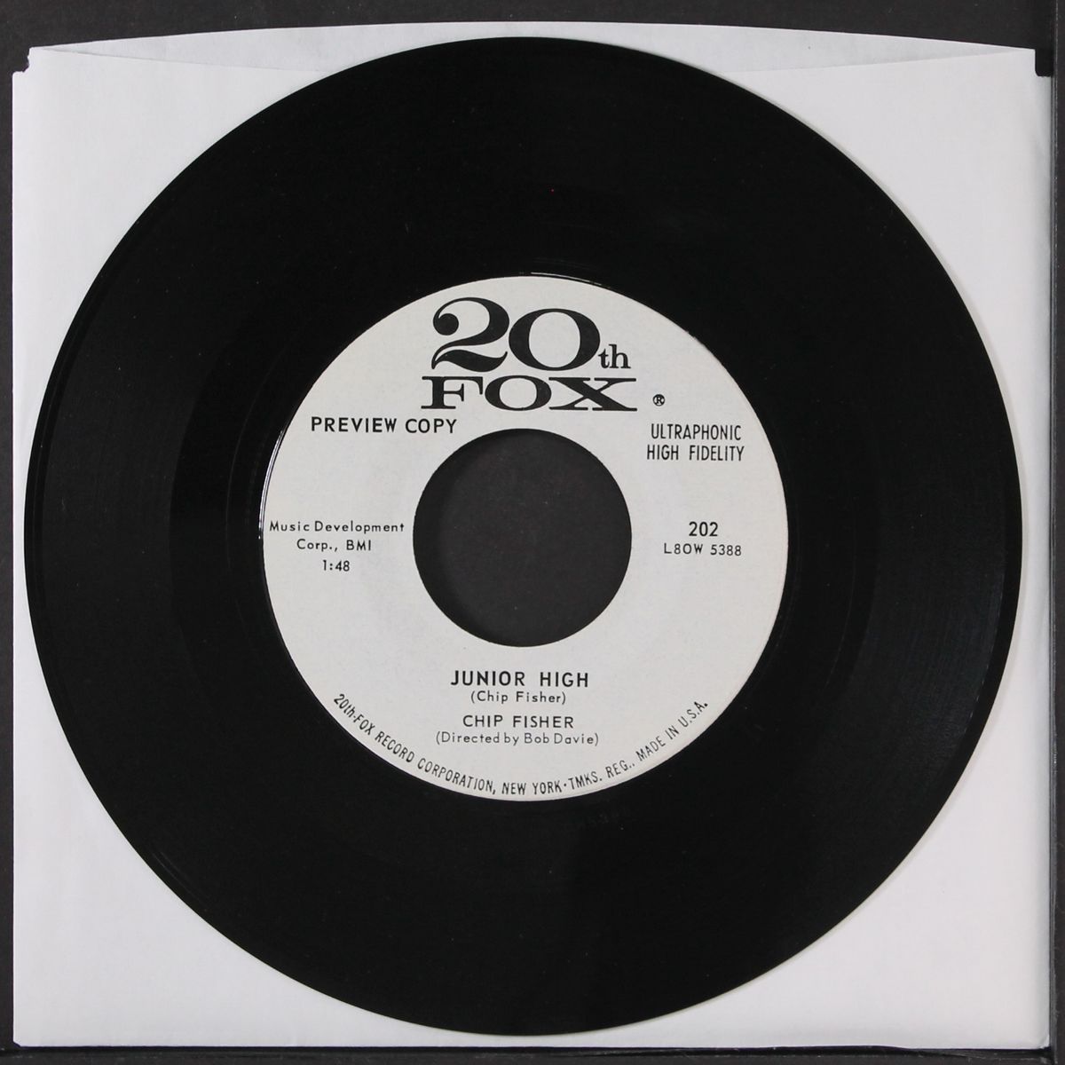 snow job / junior high by CHIP FISHER