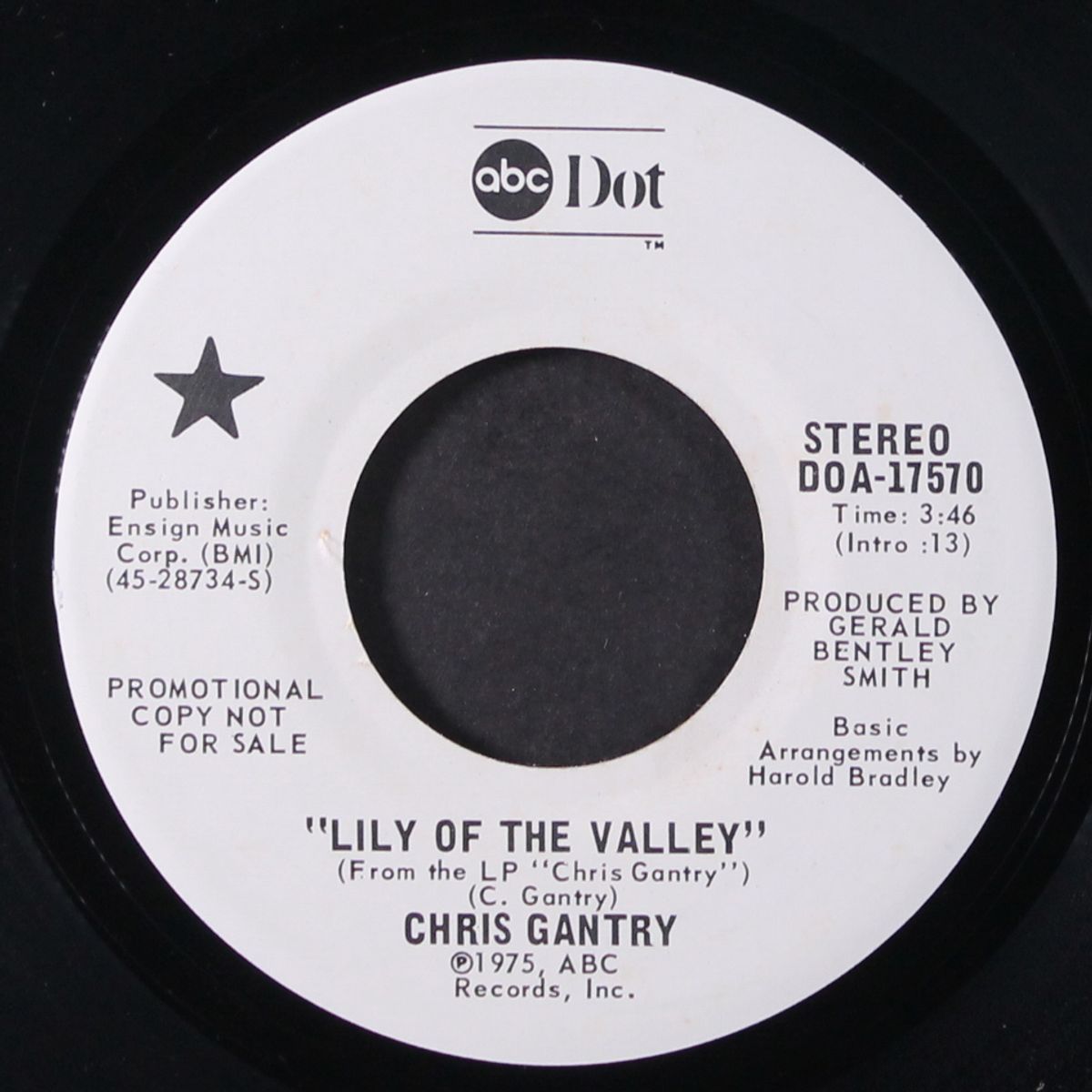 lily of the valley / eagle by CHRIS GANTRY