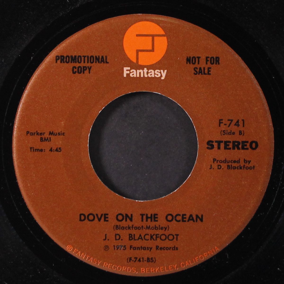 twilight / dove on the ocean by J.D. BLACKFOOT