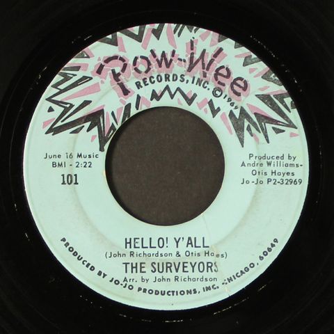 SURVEYORS