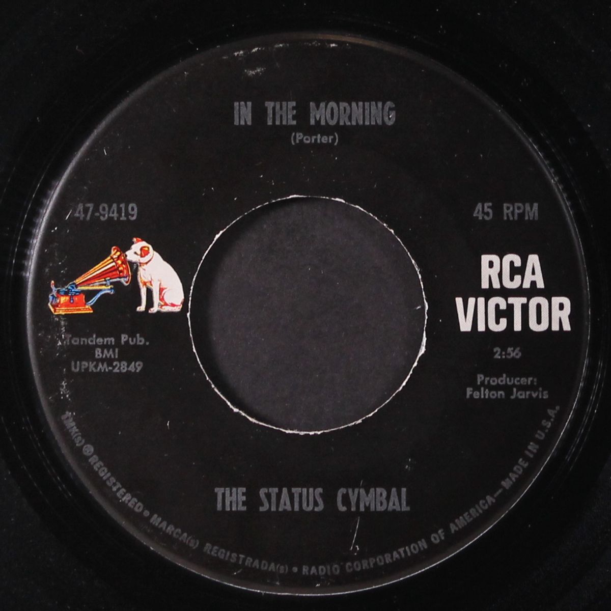 in the morning / having fun again by STATUS CYMBAL