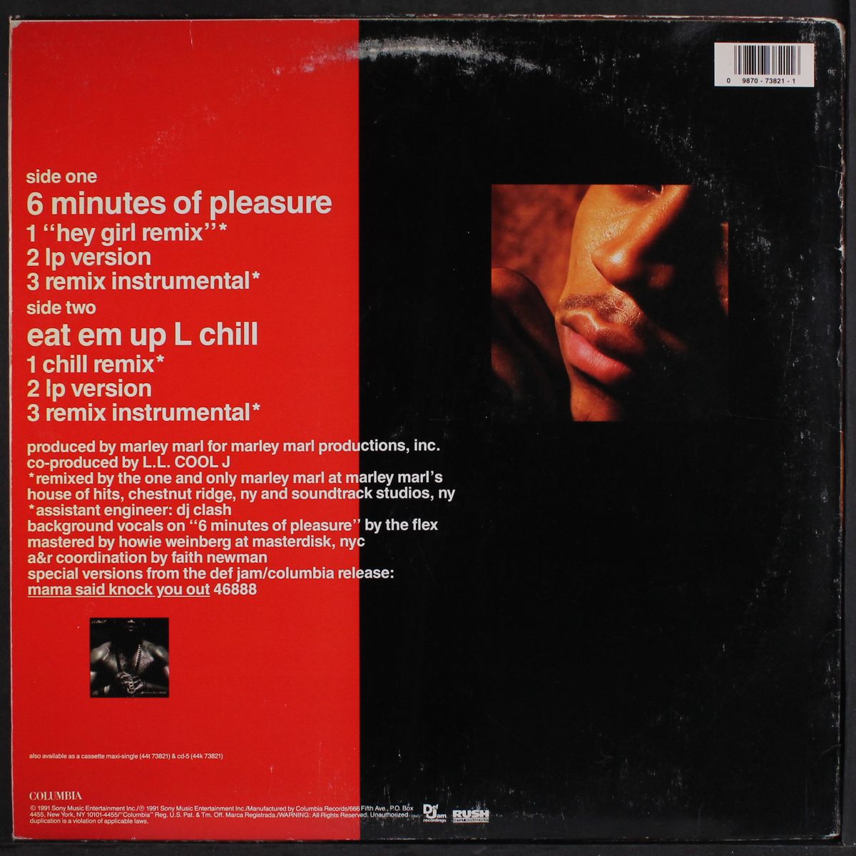 6 minutes of pleasure by L.L. COOL J
