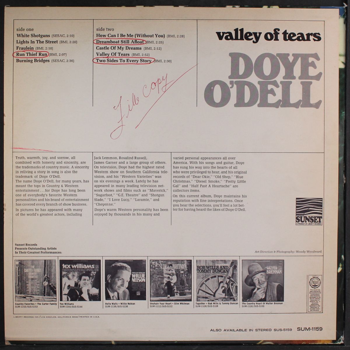 valley of tears by DOYE O'DELL