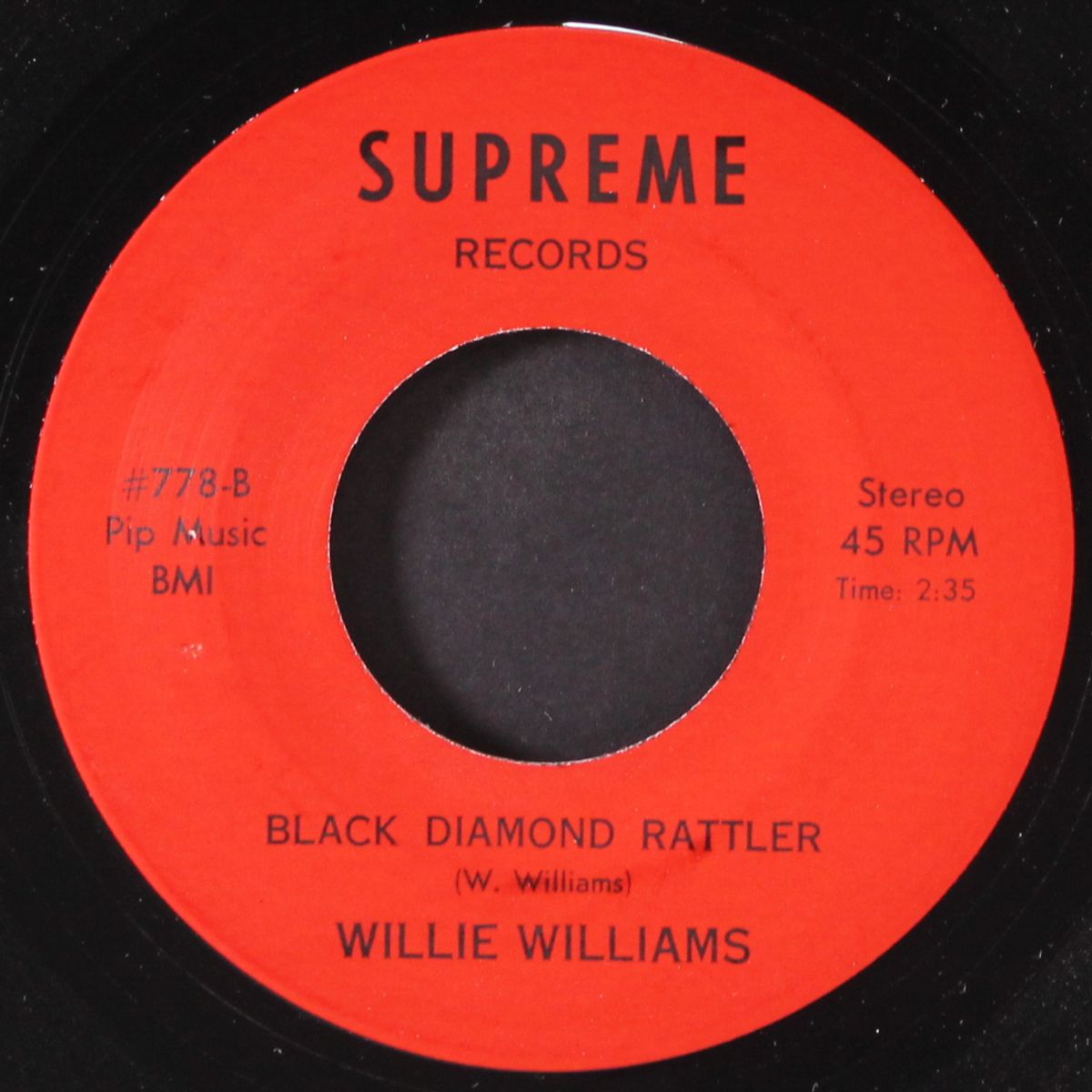 black diamond rattler by WILLIE WILLIAMS