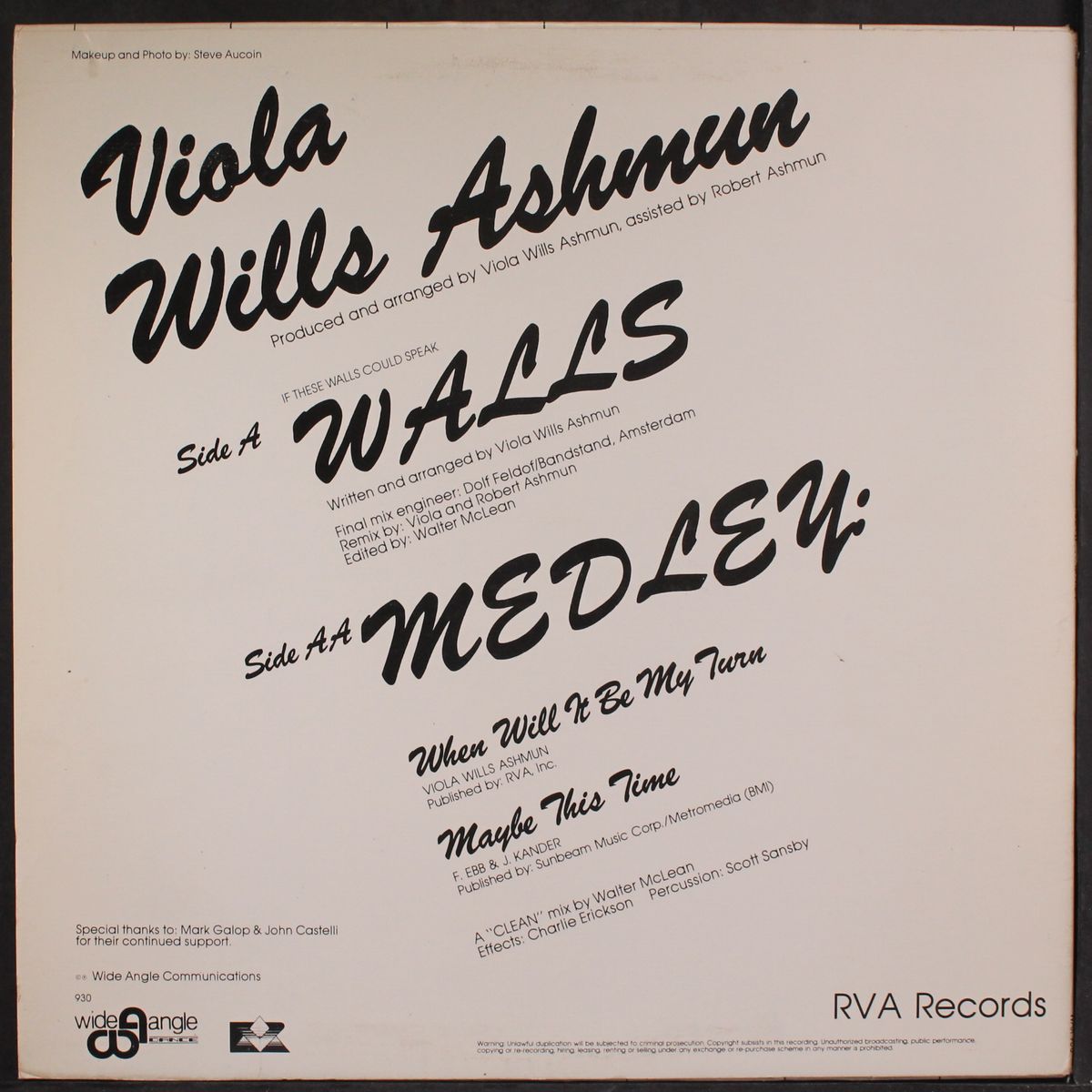 if these walls could speak by VIOLA WILLS ASHMUN