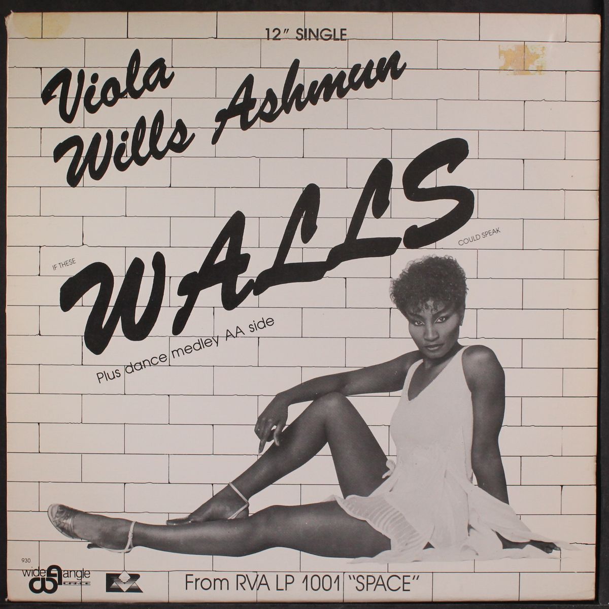 if these walls could speak by VIOLA WILLS ASHMUN