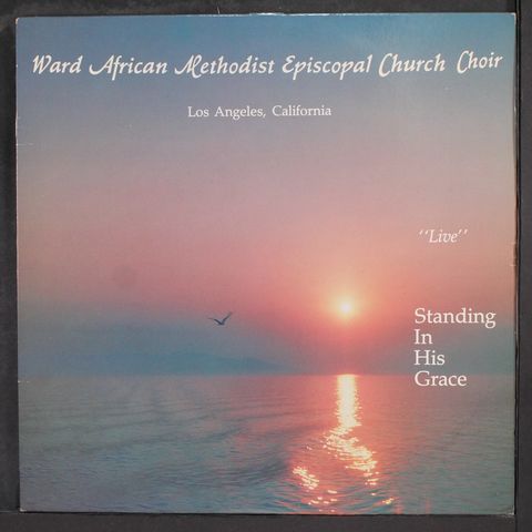 WARD AFRICAN METHODIST EPISCOPAL CHURCH