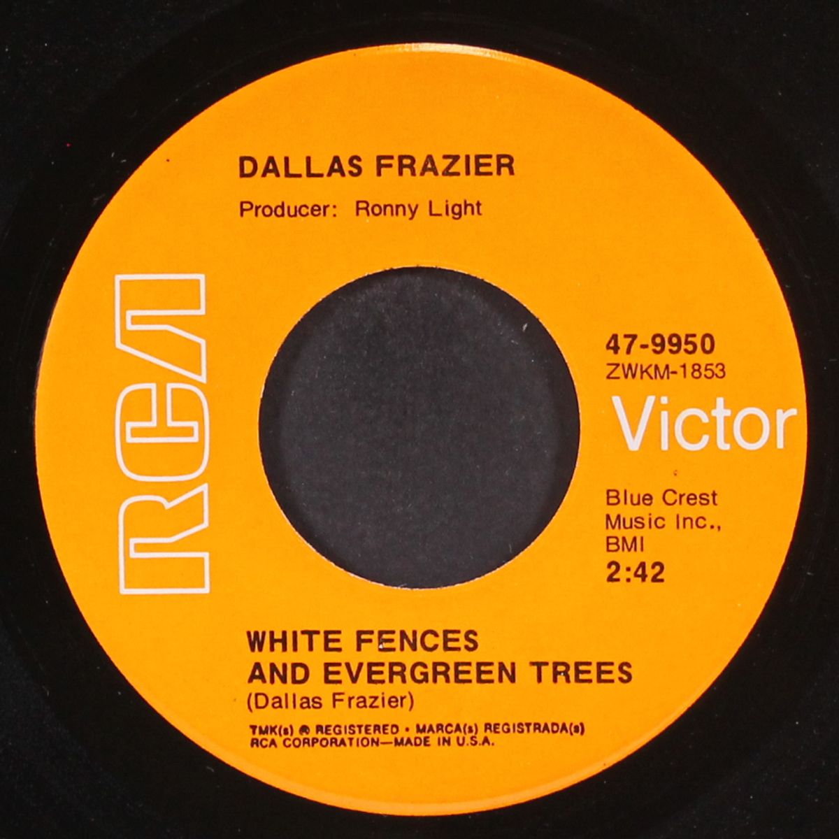white fences and evergreen trees by DALLAS FRAZIER