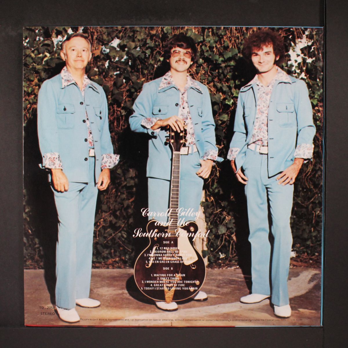 and the southern comfort by CARROLL GILLEY