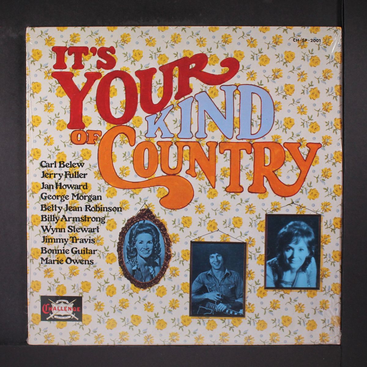 it's your kind of country by VARIOUS