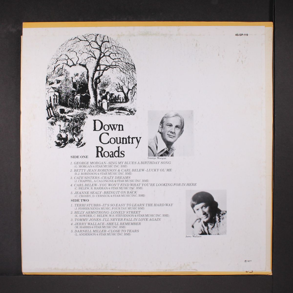 down country roads by VARIOUS