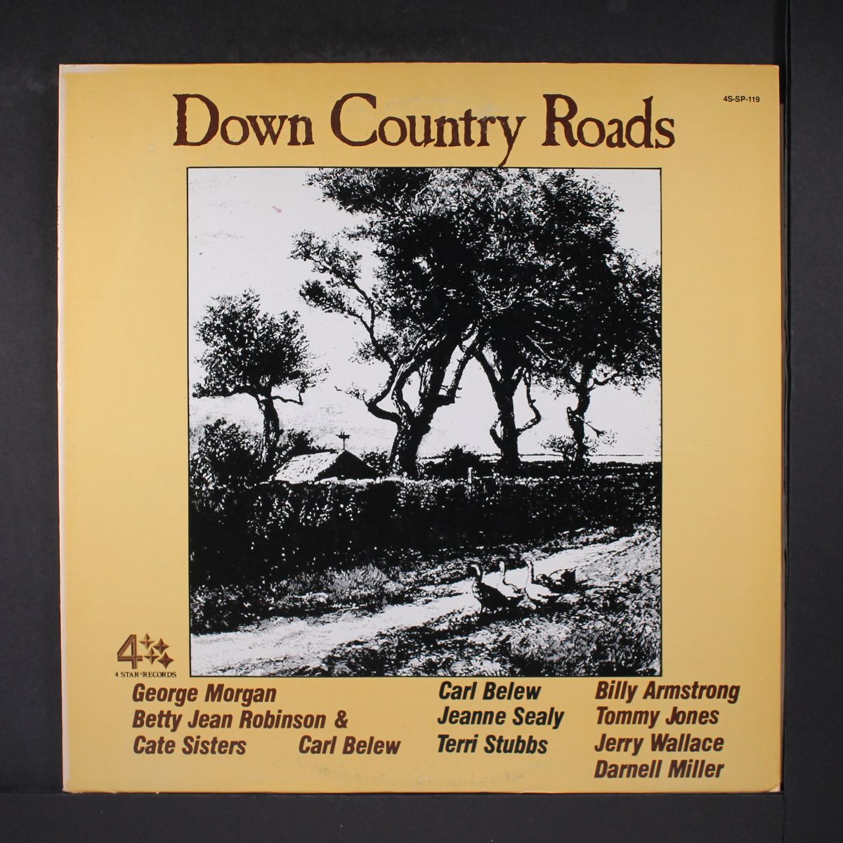 down country roads by VARIOUS