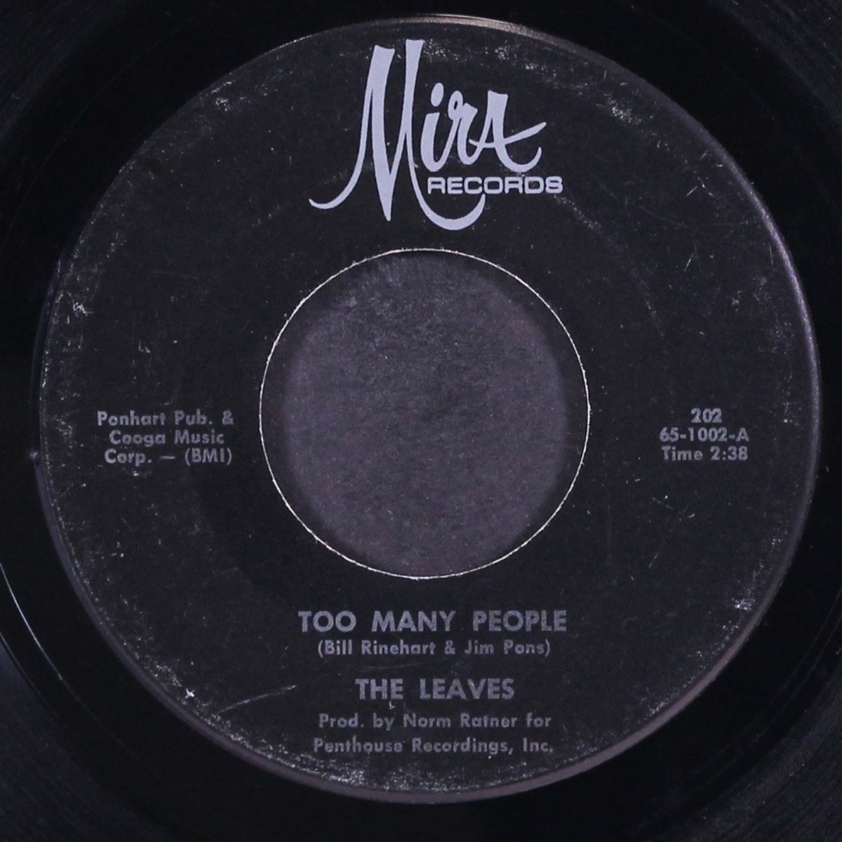 too many people / love minus zero by LEAVES