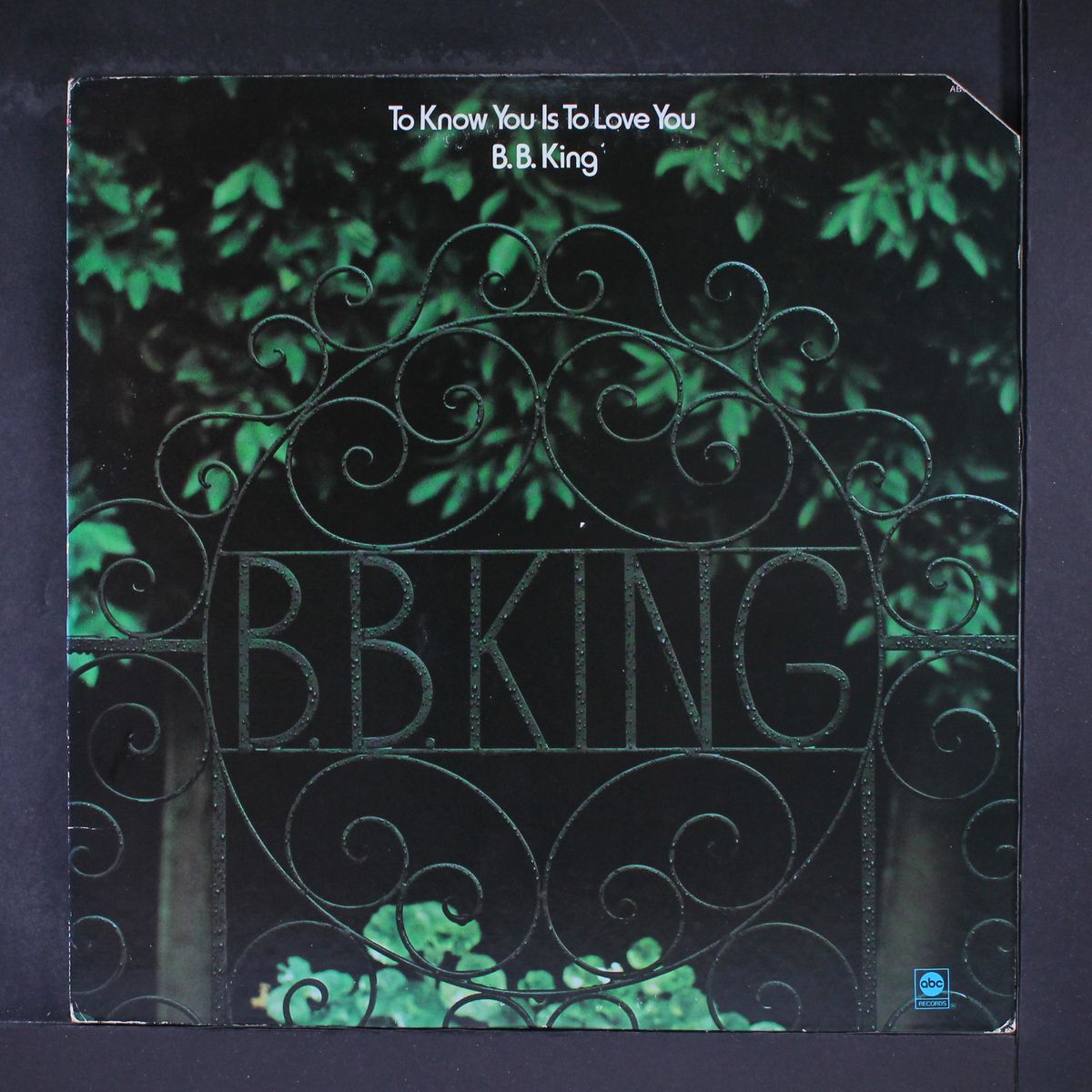 to know you is to love you by B.B. KING
