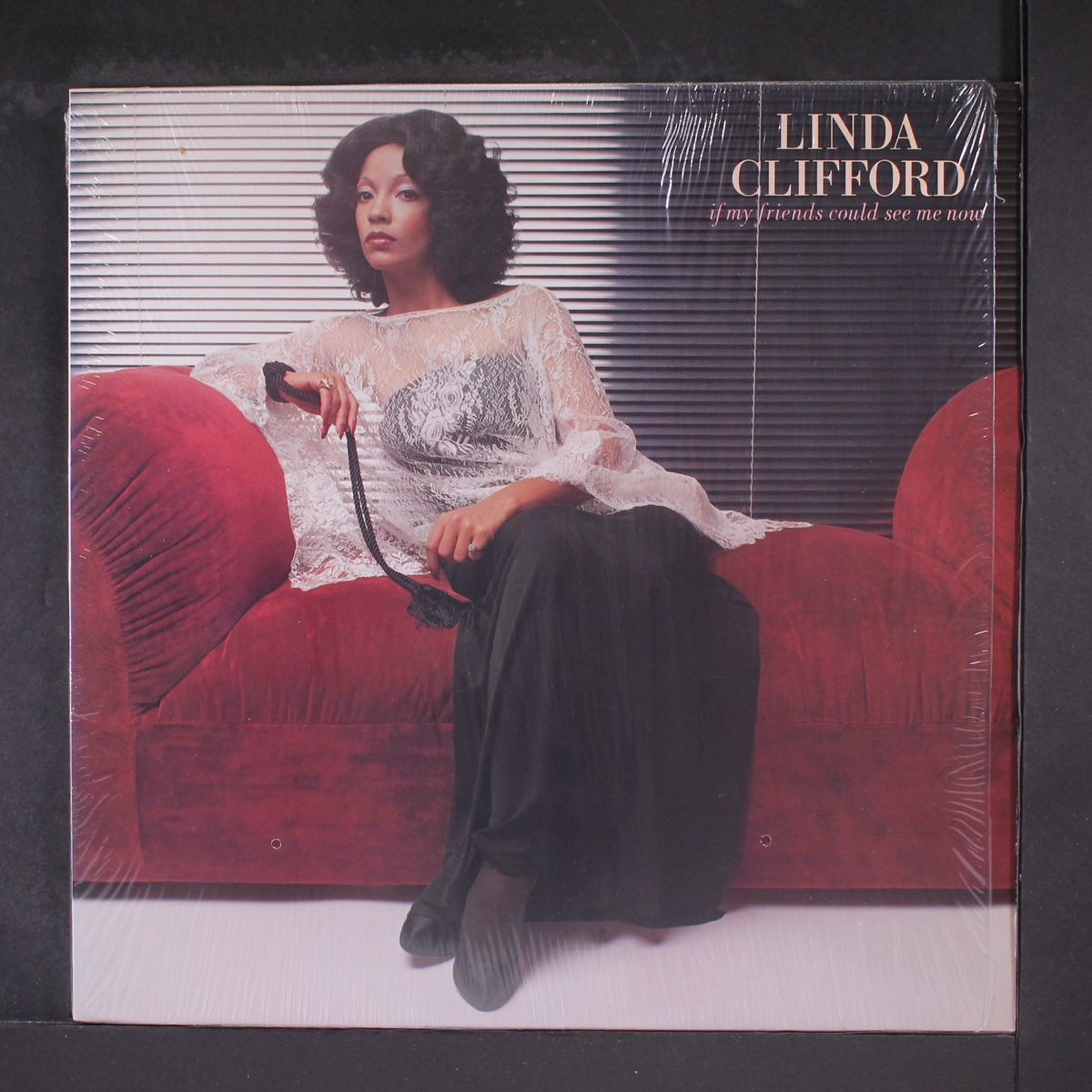 if my friends could see me now by LINDA CLIFFORD