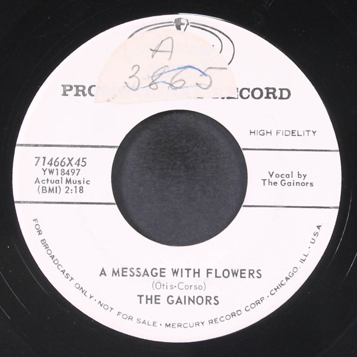 a message with flowers / she's my lollipop by GAINORS