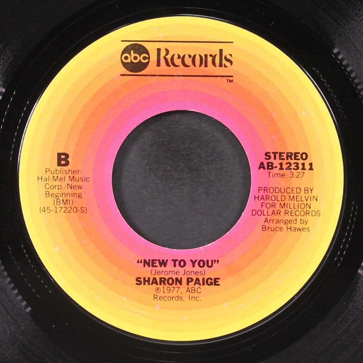 i wanna know your name / new to you by SHARON PAIGE