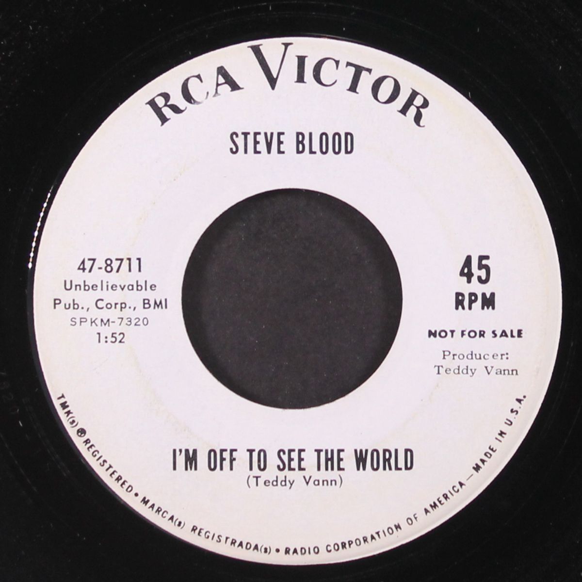 the new young american by STEVE BLOOD