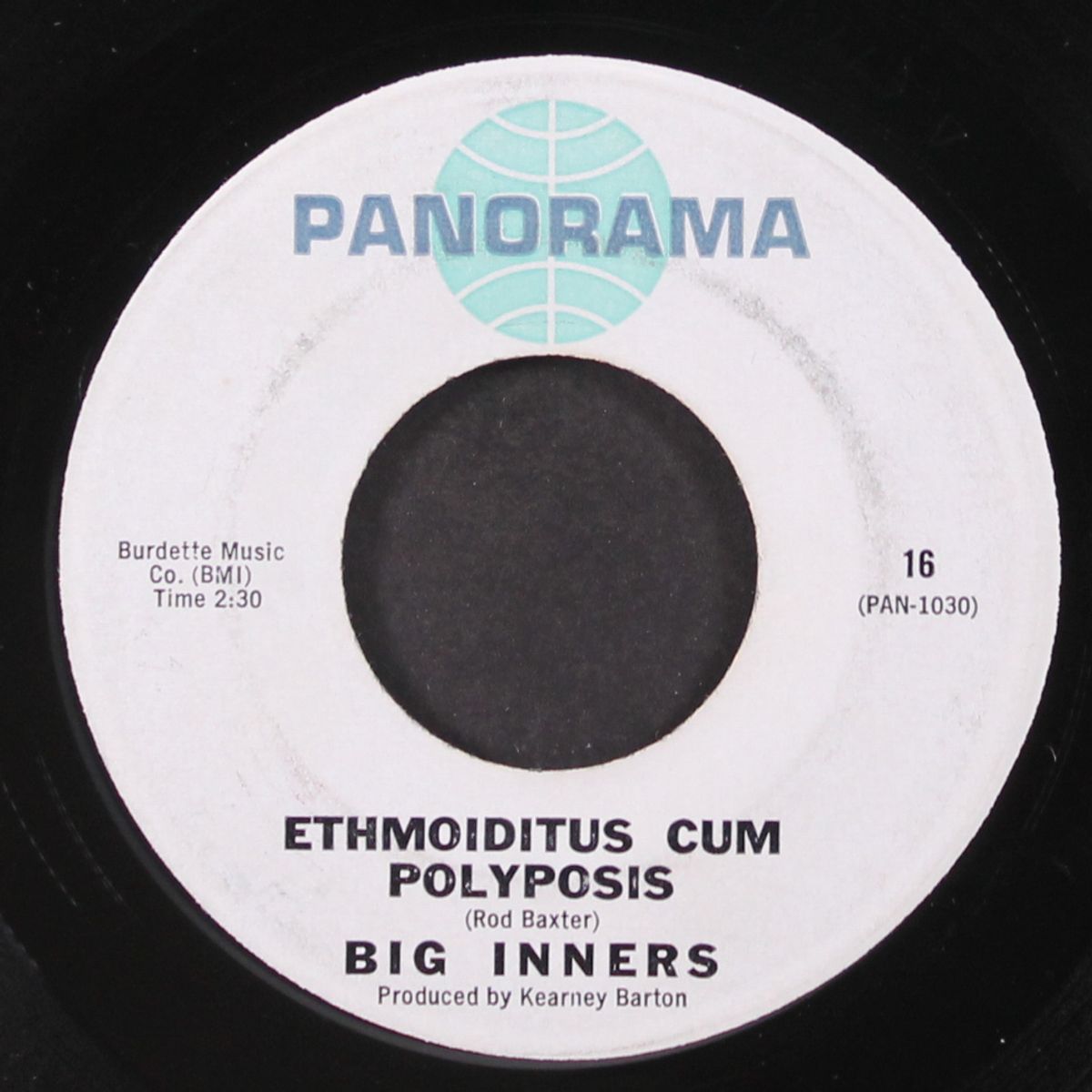do you wonder / ethmoiditus cum polyposis by BIG INNERS