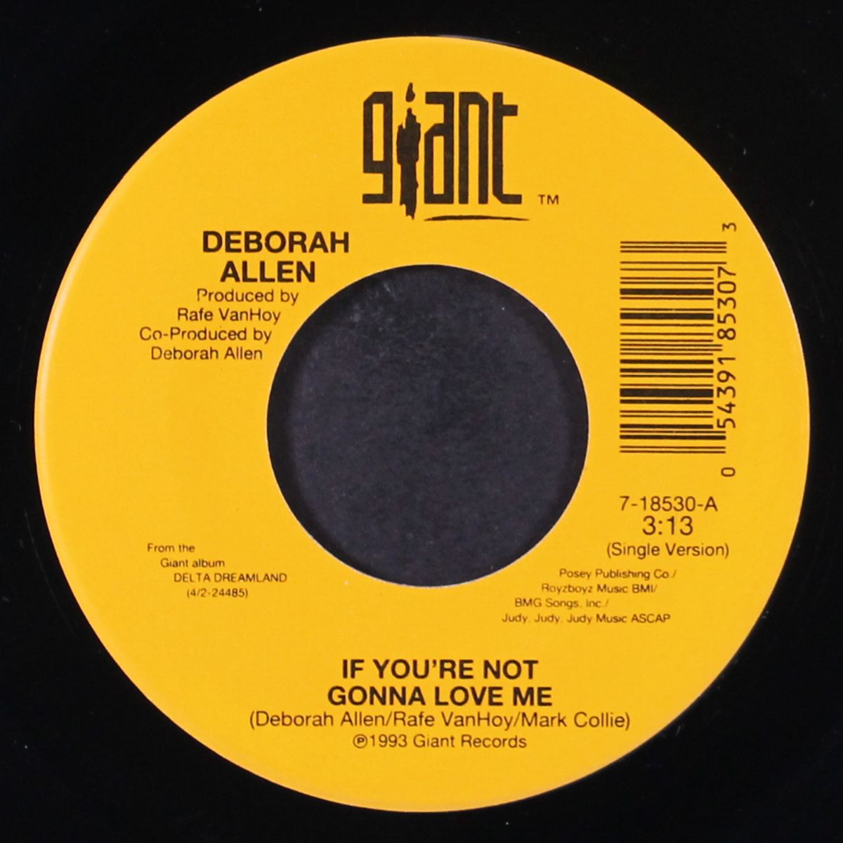 if you're not gonna love me by DEBORAH ALLEN