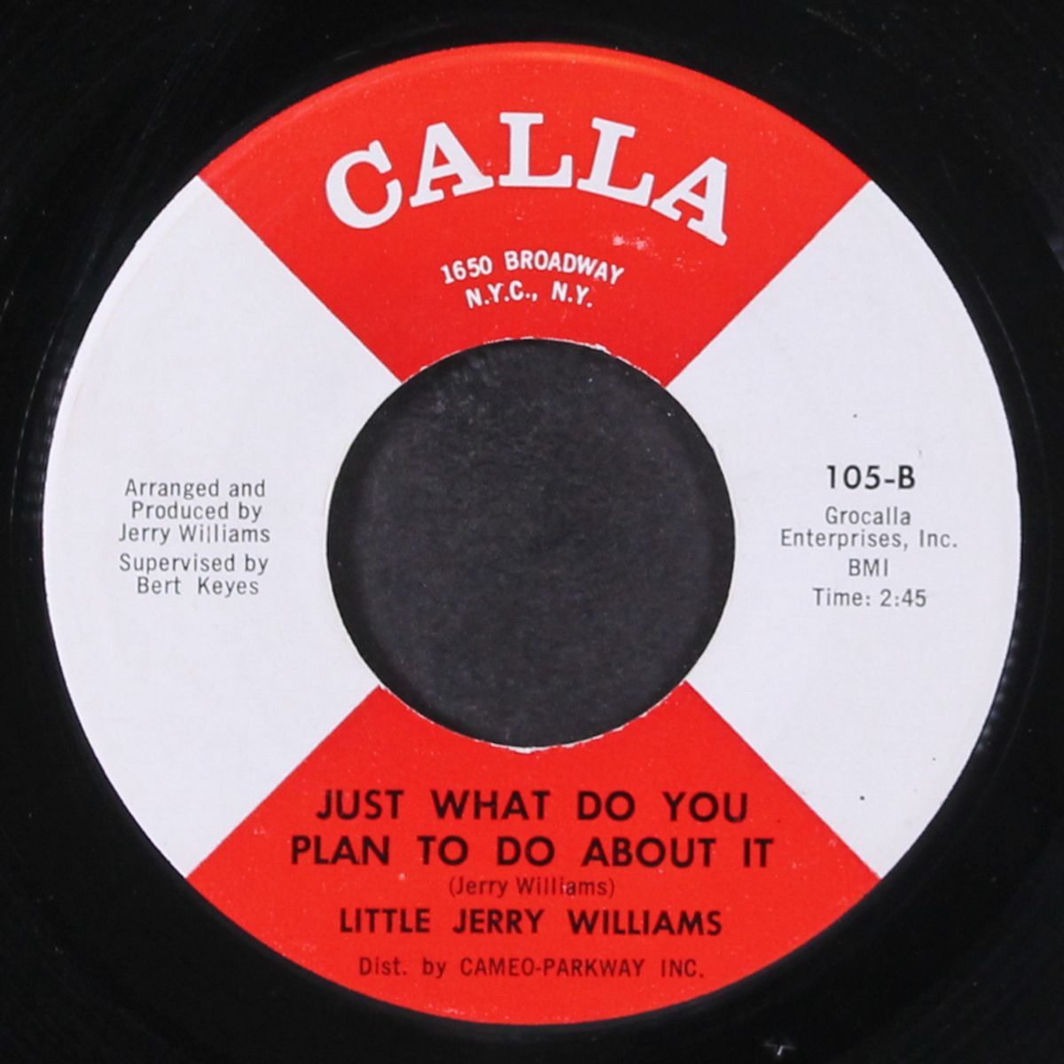 just what do you plan to do about it / baby, you're my everything by LITTLE JERRY WILLIAMS